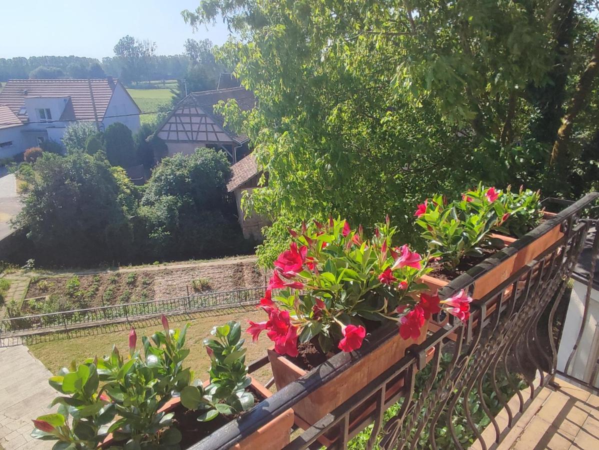 Appartement Des Rives De L'Ehn Krautergersheim Extérieur photo